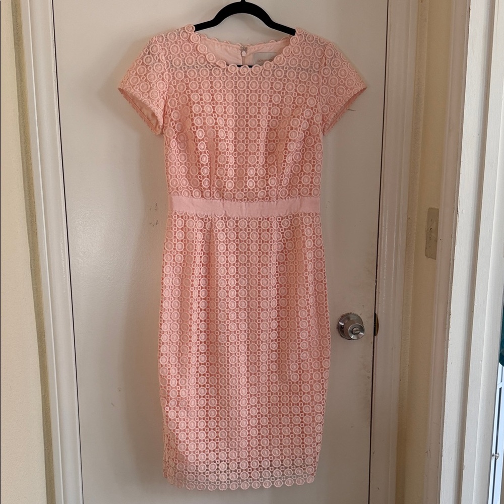 DownEast Blush Lace Midi Dress